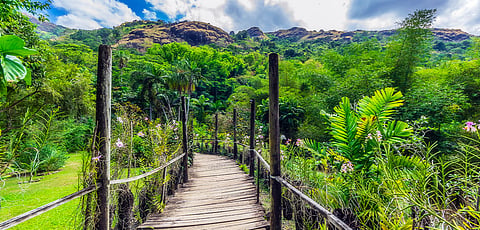 Garden of the Sleeping Giant